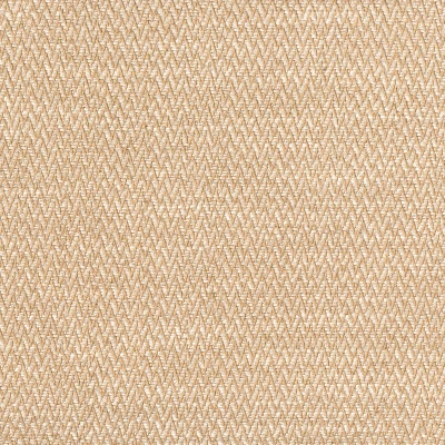 4323-05 Tango - Honey Blonde Swatch