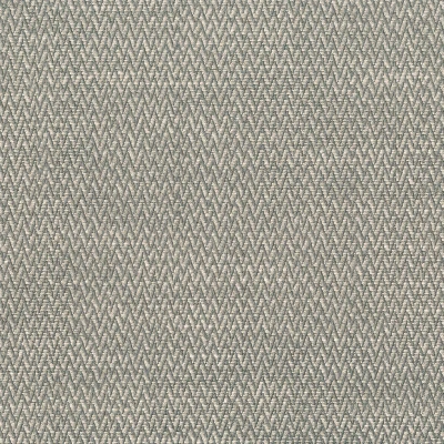 4323-12 Tango - Ash Swatch