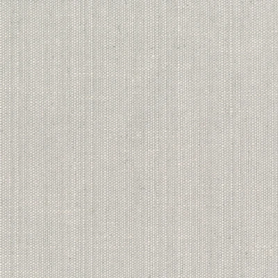 4326-04 Waltz - Mercury Glass Swatch
