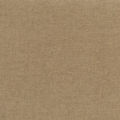 4327-08 Inlet - Fawn Swatch