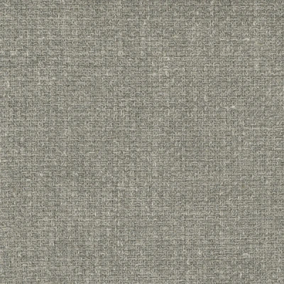 4330-01 Chatter - Flint Grey Swatch