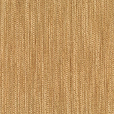 4344-04 Petra - Toast Swatch