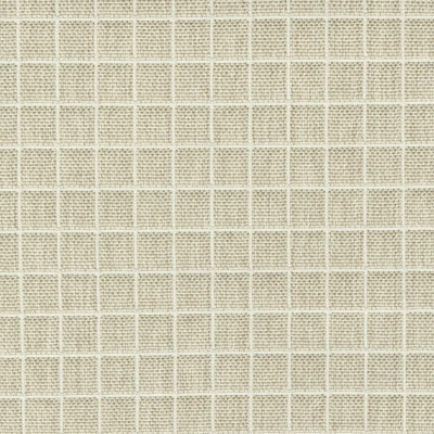 4354-01 Plot - Quinoa Swatch