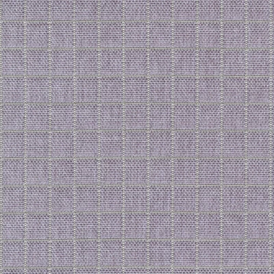 4354-07 Plot - Pale Grape Swatch