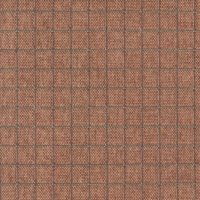 4354-12 Plot - Cherry Tomato Swatch
