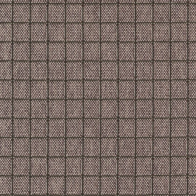 4354-13 Plot - Orchid Haze Swatch