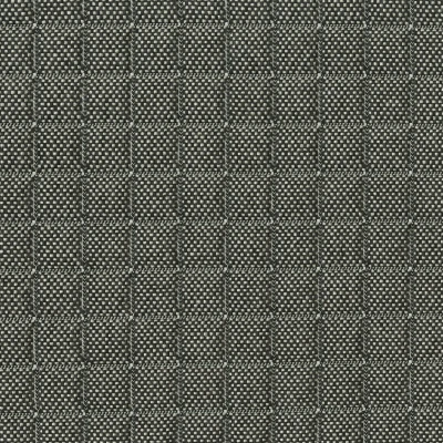4354-15 Plot - Black Tux Swatch