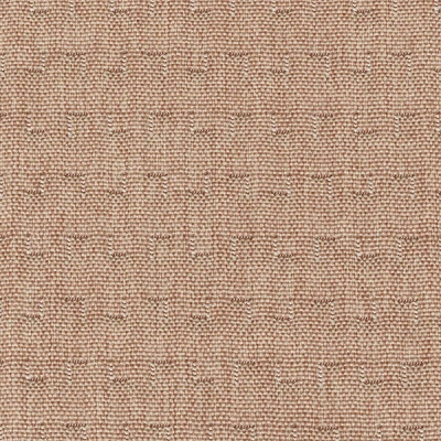 4356-05 Query - Blush Eraser Swatch
