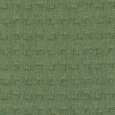4356-10 Query - Front Lawn Swatch