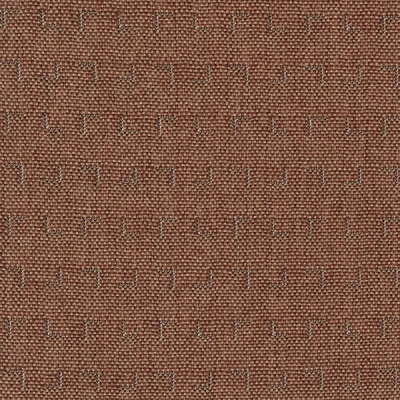 4356-12 Query - Cherry Tomato Swatch