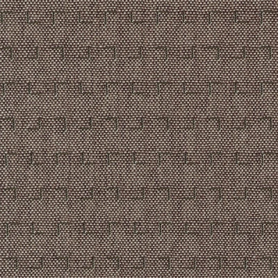 4356-13 Query - Orchid Haze Swatch