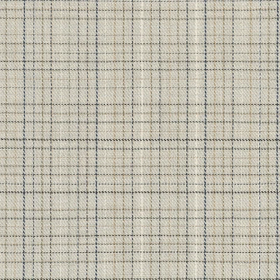 4587-01 Field Day - Four Square Swatch