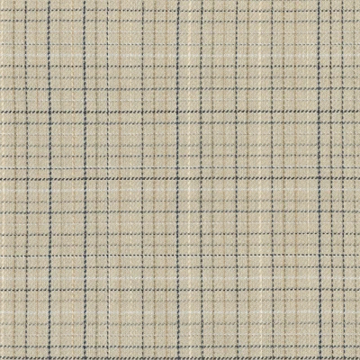 4587-02 Field Day - Sandbox Swatch