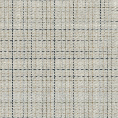 4587-03 Field Day - Silver Lining Swatch