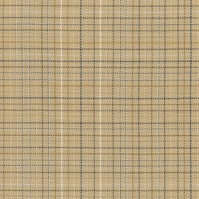 4587-04 Field Day - Wicker Basket Swatch