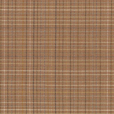 4587-05 Field Day - Pumpkin Spice Swatch