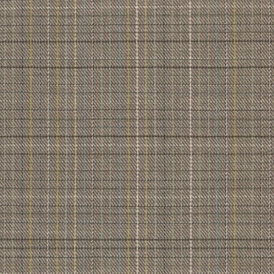 4587-06 Field Day - Coffee Shop Swatch