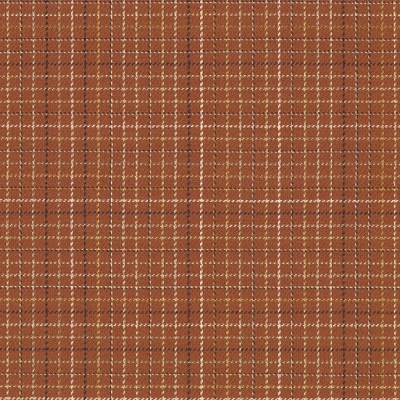 4587-08 Field Day - Red Rock Swatch