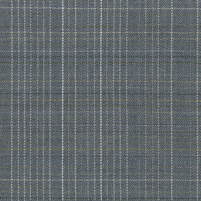 4587-10 Field Day - Jean Jacket Swatch
