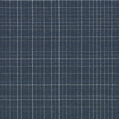 4587-11 Field Day - Midnight Swatch