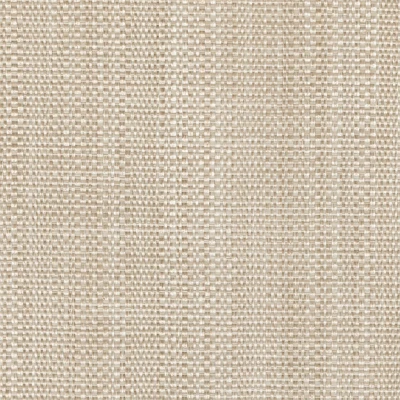 5731-02 Fantasia Panel - Milk Tea Swatch