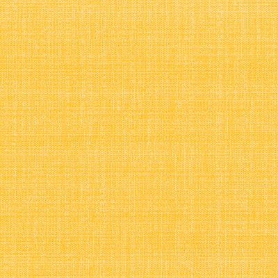 5840-05 Palette - Cadmium Yellow Swatch