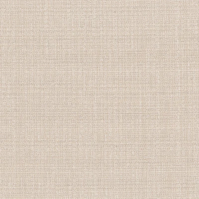 5840-08 Palette - Pale Camel Swatch