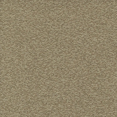 6562-07 Intuition - Caramel Latte Swatch
