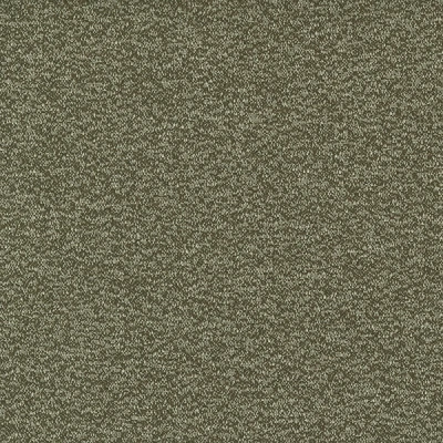6562-08 Intuition - Deep Olive Swatch