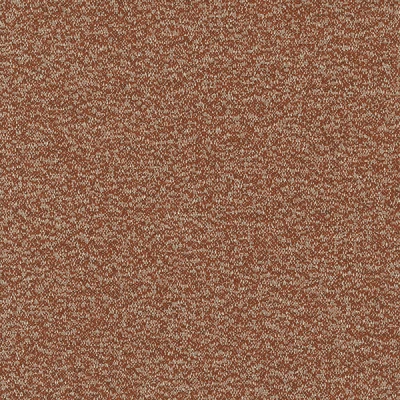 6562-12 Intuition - Tiger Lily Swatch