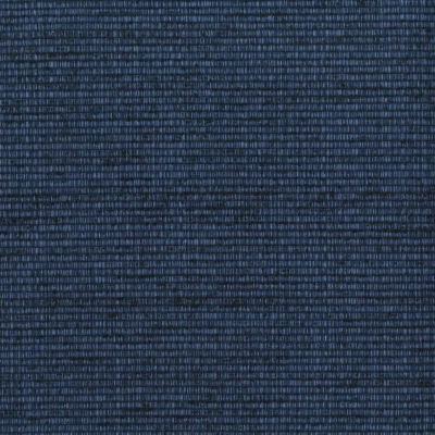 6563-06 Regiment - Starry Night Swatch