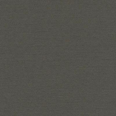 6564-11 Insight - Iron Swatch