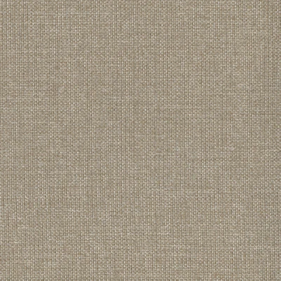 6580-03 Riverbank - Flax Swatch