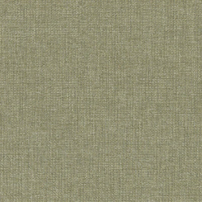6580-04 Riverbank - Moss Swatch