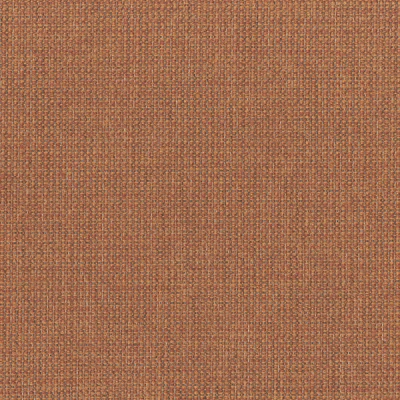 6580-06 Riverbank - Red Clay Swatch
