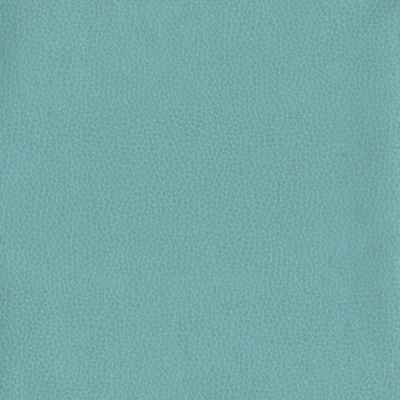 6812-04 Corinthian - Caribbean Swatch