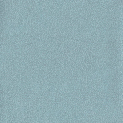 6812-05 Corinthian - After Rain Swatch