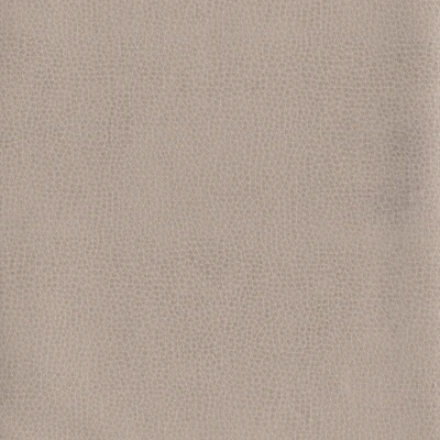 6812-06 Corinthian - Buckwheat Swatch
