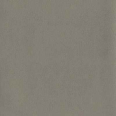 6812-07 Corinthian - Bedrock Swatch