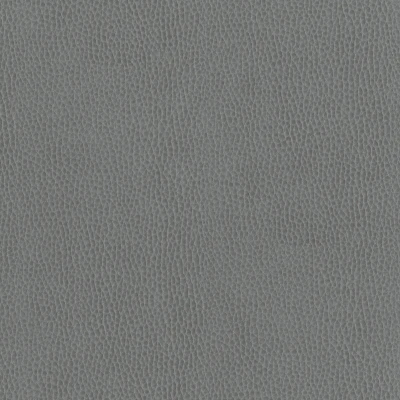 6812-09 Corinthian - Cinders Swatch