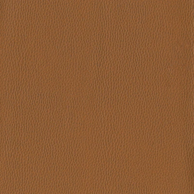 6812-10 Corinthian - Cognac Swatch