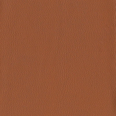 6812-11 Corinthian - Canyon Swatch
