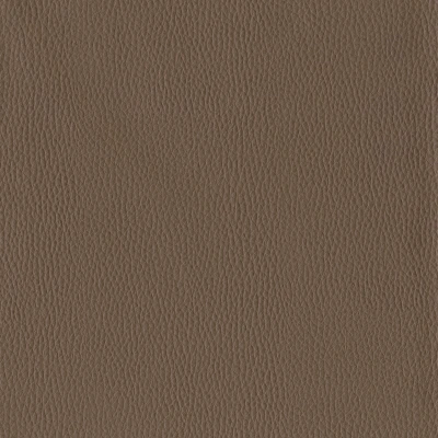 6812-12 Corinthian - Otter Swatch