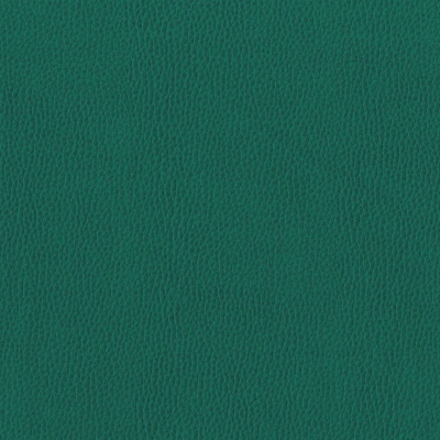 6812-14 Corinthian - Spruce Swatch