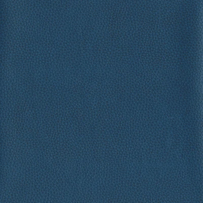 6812-15 Corinthian - Blueberry Swatch