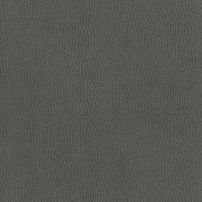 6812-16 Corinthian - Graphite Swatch