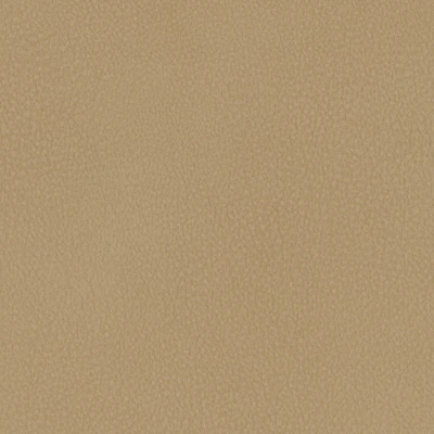 6825-04 Aldrin - Pie Crust Swatch