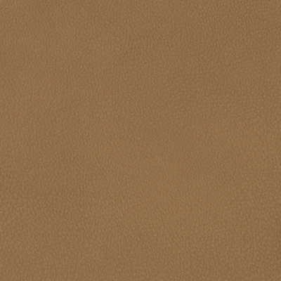 6825-05 Aldrin - Rum Cake Swatch