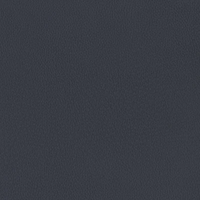 6825-09 Aldrin - Oxford Navy Swatch