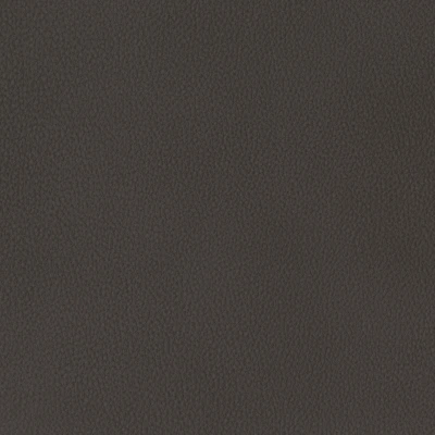 6825-10 Aldrin - Wine Truffle Swatch